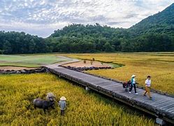 Hỗ Trợ Cộng Đồng Địa Phương