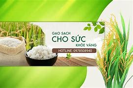 Htx Nông Sản Hữu Cơ Rạch Giá