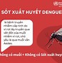 Khi Bị Sốt Xuất Huyết Có Nên Truyền Nước Không