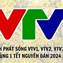 Lịch Phát Sóng Vtv1 Hôm Nay 1 6 2024