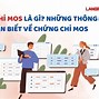 Nội Dung Các Bài Thi Chứng Chỉ Mos Là Gì