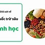 Thuốc Trừ Sâu Sinh Học Bt Là Gì